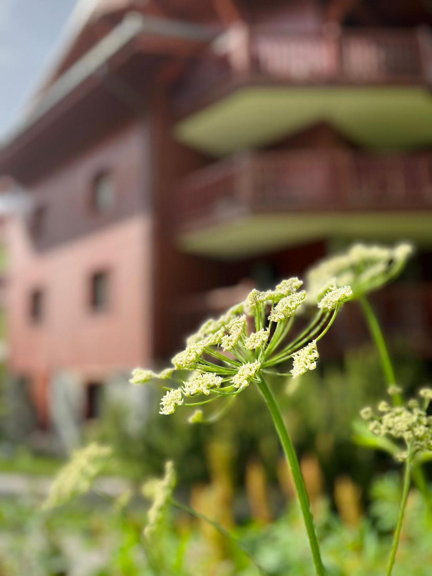 Appartments In Tignes Ecrin Des Neiges Eksteriør billede